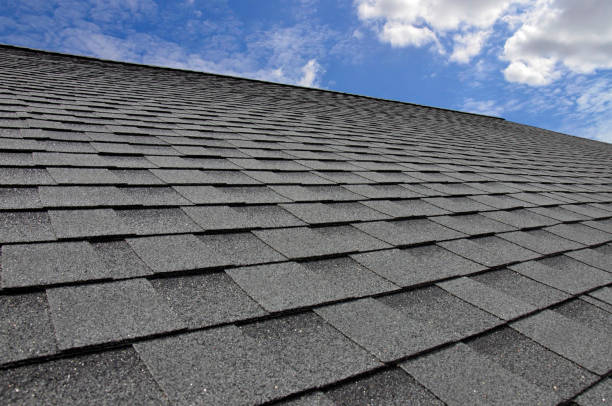 Professional Roofing Services in Mississippi State, MS